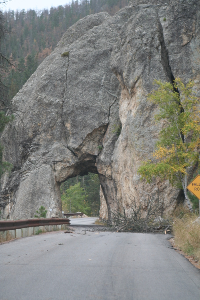 2011/10(October)/South-Dakota-SD/8-Needles-Highway-Custer-State-Park/2011-10-07-SD-Custer-State-Park-Needles-Highway-01.JPG