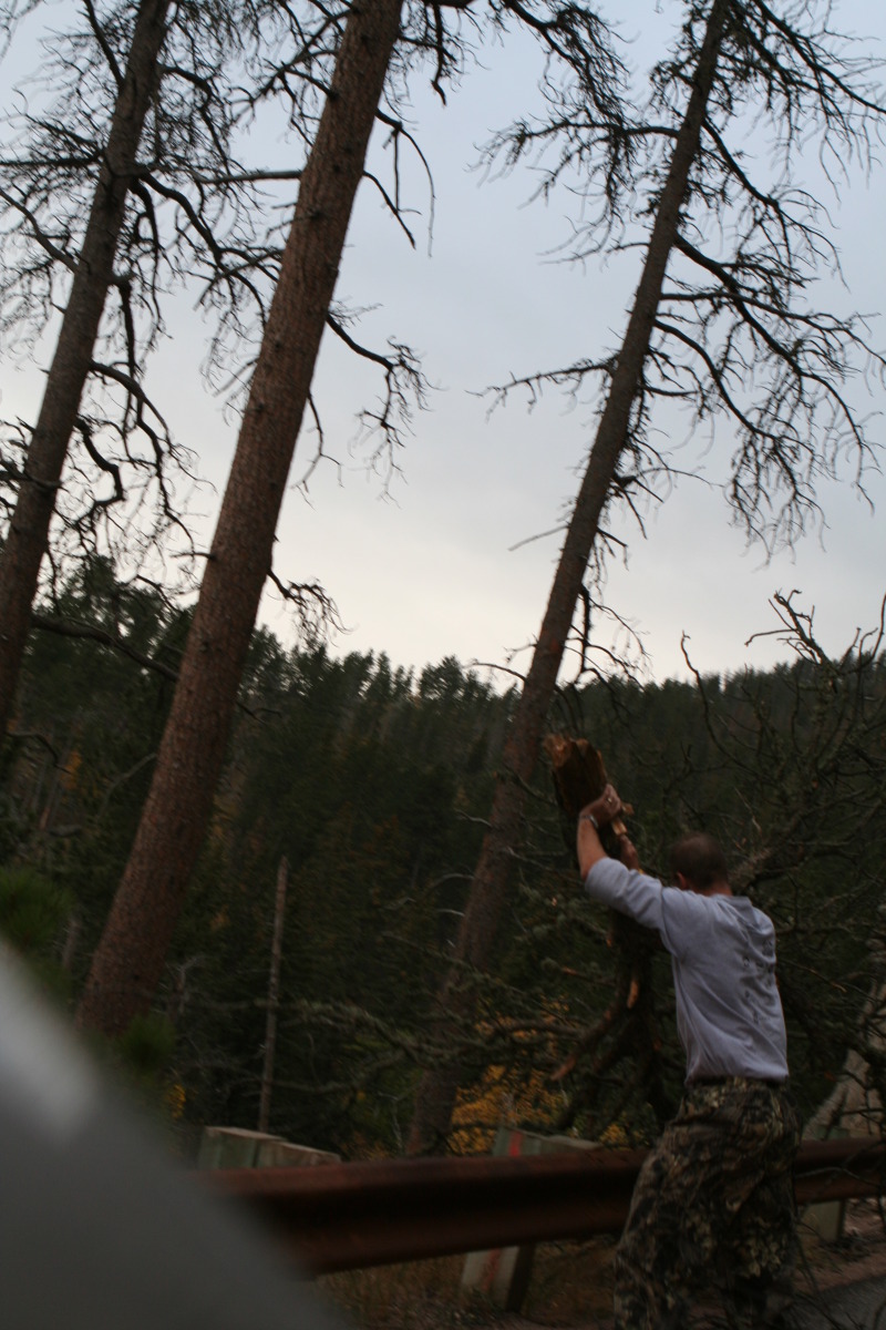 2011/10(October)/South-Dakota-SD/8-Needles-Highway-Custer-State-Park/800x600_2011-10-07-SD-Custer-State-Park-Needles-Highway-06-Travis.JPG