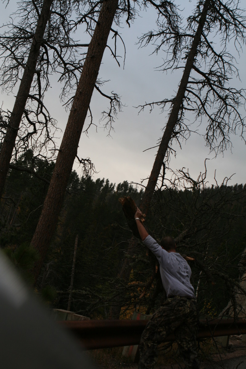 2011/10(October)/South-Dakota-SD/8-Needles-Highway-Custer-State-Park/800x600_2011-10-07-SD-Custer-State-Park-Needles-Highway-07-Travis.JPG