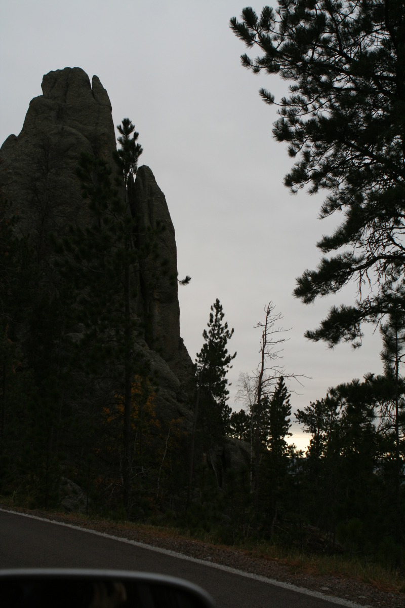 2011/10(October)/South-Dakota-SD/8-Needles-Highway-Custer-State-Park/800x600_2011-10-07-SD-Custer-State-Park-Needles-Highway-12.JPG
