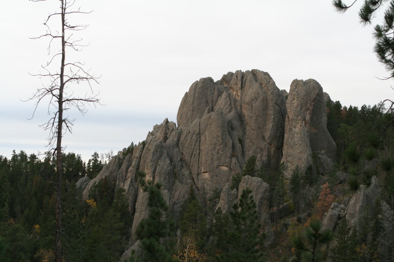 2011/10(October)/South-Dakota-SD/8-Needles-Highway-Custer-State-Park/800x600_2011-10-07-SD-Custer-State-Park-Needles-Highway-14.JPG