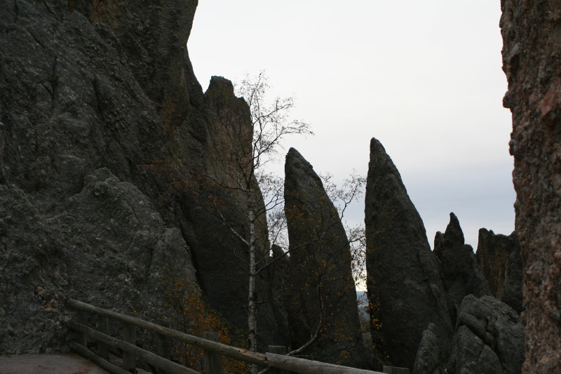 2011/10(October)/South-Dakota-SD/8-Needles-Highway-Custer-State-Park/800x600_2011-10-07-SD-Custer-State-Park-Needles-Highway-17.JPG