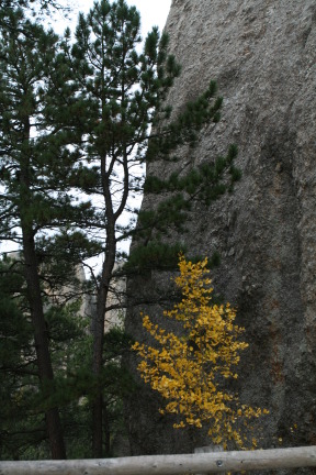 2011-10-07-SD-Custer-State-Park-Needles-Highway-26.JPG
