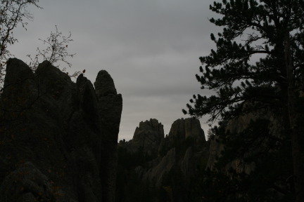 2011-10-07-SD-Custer-State-Park-Needles-Highway-27.JPG