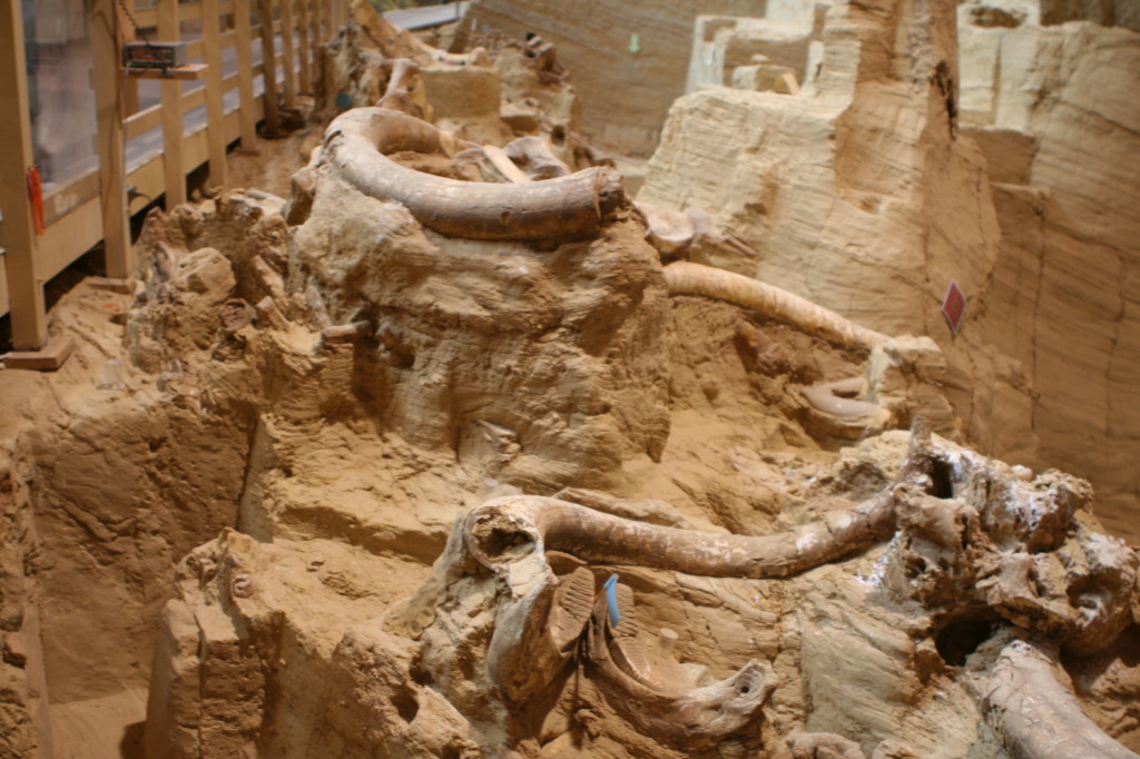 2011/10(October)/South-Dakota-SD/9-Mammoth-Site/1024x768_2011-10-07-SD-Mammoth-Site-03.JPG
