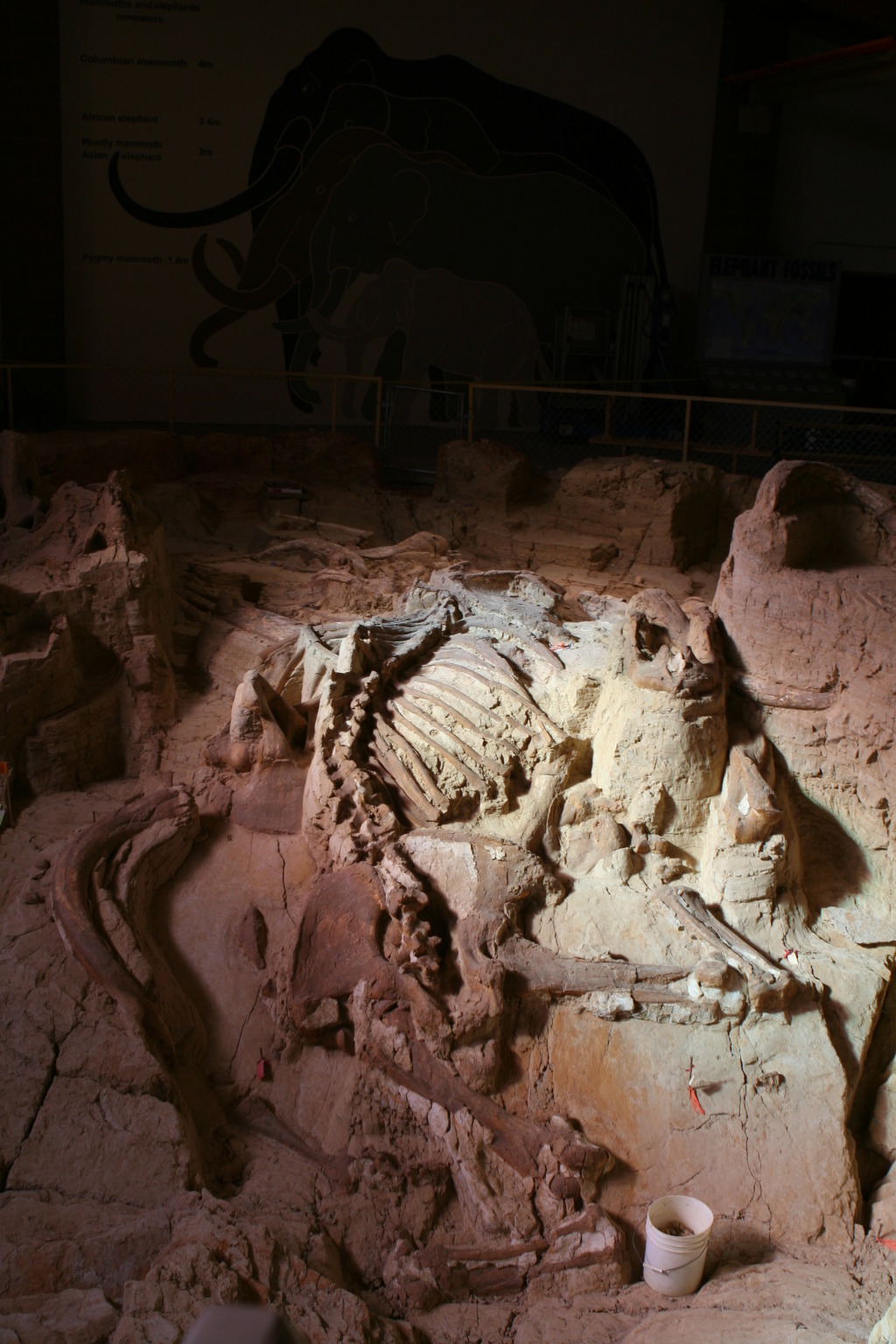 2011/10(October)/South-Dakota-SD/9-Mammoth-Site/1024x768_2011-10-07-SD-Mammoth-Site-07.JPG