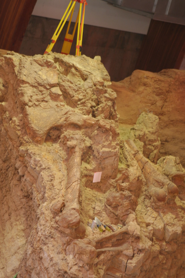 2011/10(October)/South-Dakota-SD/9-Mammoth-Site/640x480_2011-10-07-SD-Mammoth-Site-06.JPG