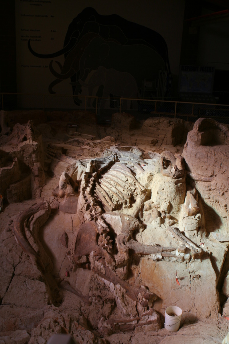 2011/10(October)/South-Dakota-SD/9-Mammoth-Site/800x600_2011-10-07-SD-Mammoth-Site-07.JPG