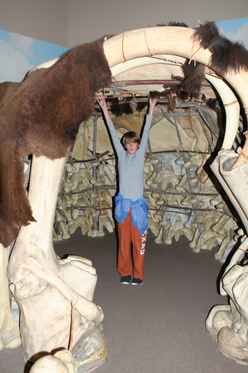 2011/10(October)/South-Dakota-SD/9-Mammoth-Site/800x600_2011-10-07-SD-Mammoth-Site-12-Chance.JPG