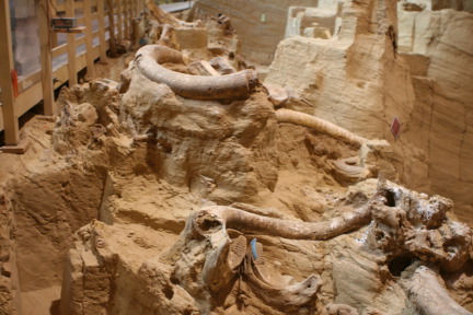 2011-10-07-SD-Mammoth-Site-03.JPG
