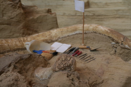 2011-10-07-SD-Mammoth-Site-04.JPG