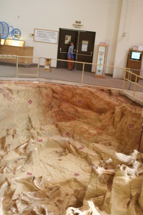 2011-10-07-SD-Mammoth-Site-09-Chance.JPG
