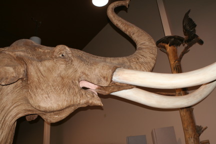 2011-10-07-SD-Mammoth-Site-13-GOOD.JPG