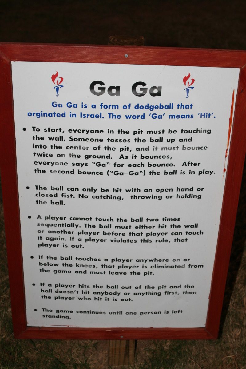 2011/11(November)/Best-of-2011-Camp-Champions-NYOS/800x600_2011-11-10-Outdoor-School-115-GaGa-Ball.JPG