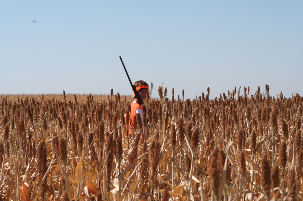 2011/BEST-OF/1024x768_2011-10-03-SD-Hunting-21-Chance-GOOD.JPG