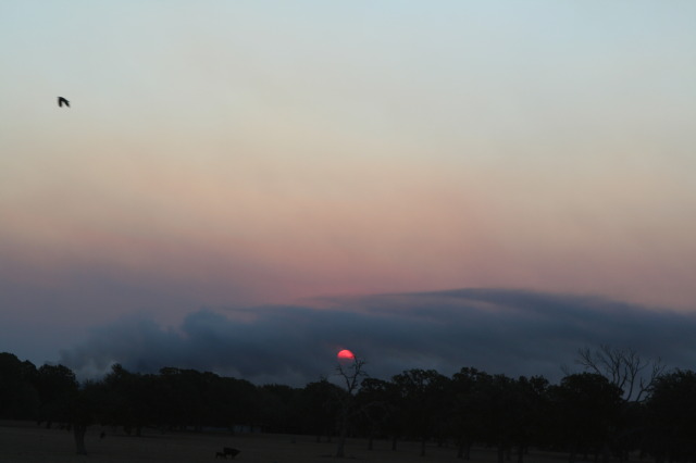 2011-09-06-Bastrop-Fire-Scout-Donation-26-GOOD.JPG