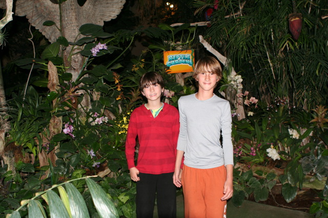 2011/BEST-OF/640x480_2011-10-06-SD-Reptile-Gardens-27-Dax-Chance-GOOD.JPG