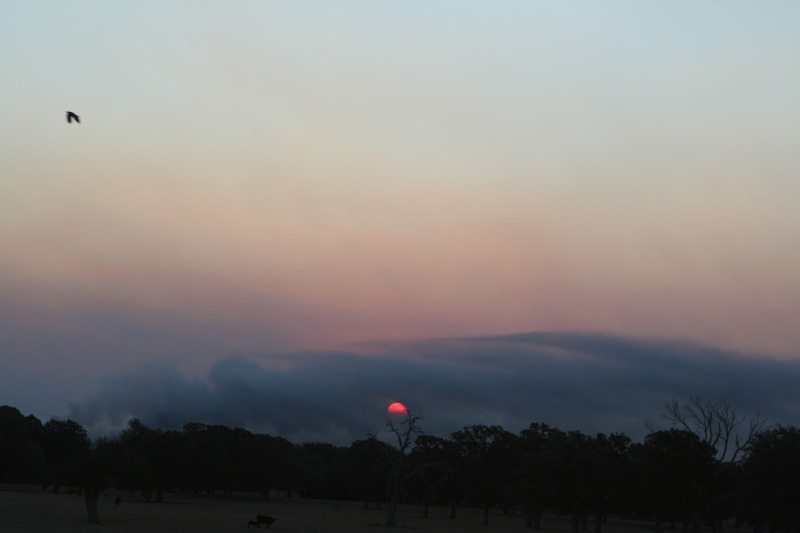 2011/BEST-OF/800x600_2011-09-06-Bastrop-Fire-Scout-Donation-26-GOOD.JPG
