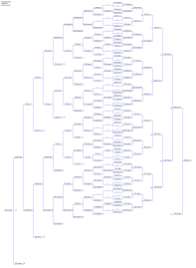 2012-01-28-Pack409-Pinewood-Derby-Bracket.jpg