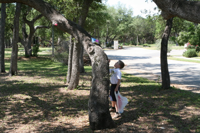 2012/04(April)/Easter/640x480_2012-04-08-Easter-06-Ian.JPG