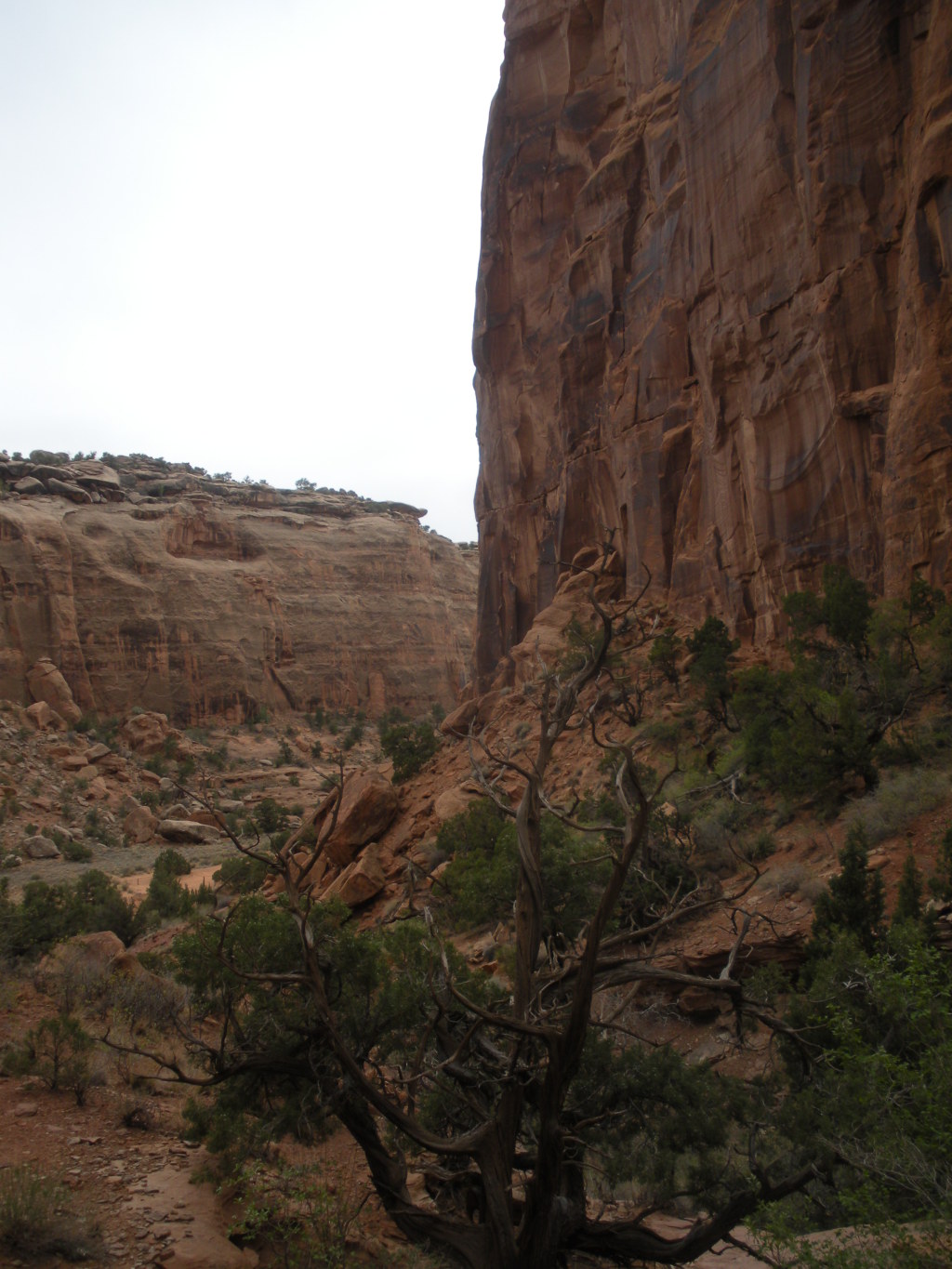 2012/04(April)/Moab/1024x768_2012-04-12-Moab-UT-02-bridges.JPG