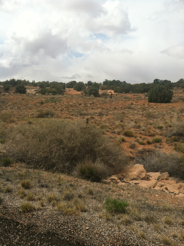 2012/04(April)/Moab/640x480_2012-04-Moab-Utah-39.jpg