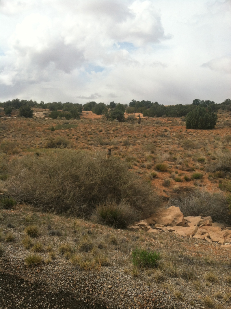 2012-04-Moab-Utah-39.jpg