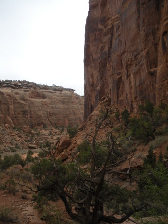 2012-04-12-Moab-UT-02-bridges.JPG