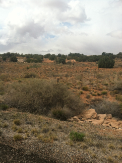 2012-04-Moab-Utah-39.jpg