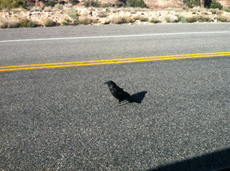 2012-04-Moab-Utah-52.jpg