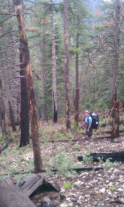 2012-07-Camp-Wehinapay-034-Travis.jpg