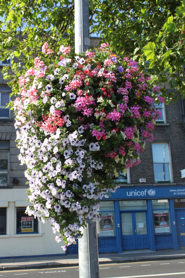 2012-08-10-Ireland-Day1-Dublin-200.jpg