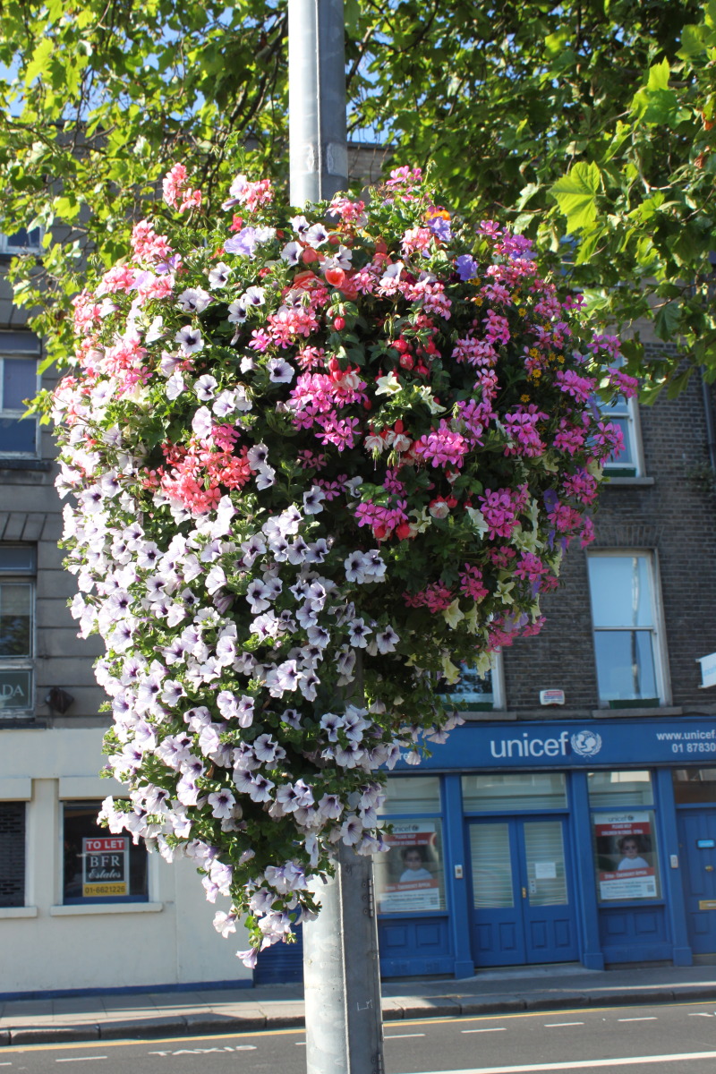 2012-08-10-Ireland-Day1-Dublin-200.jpg