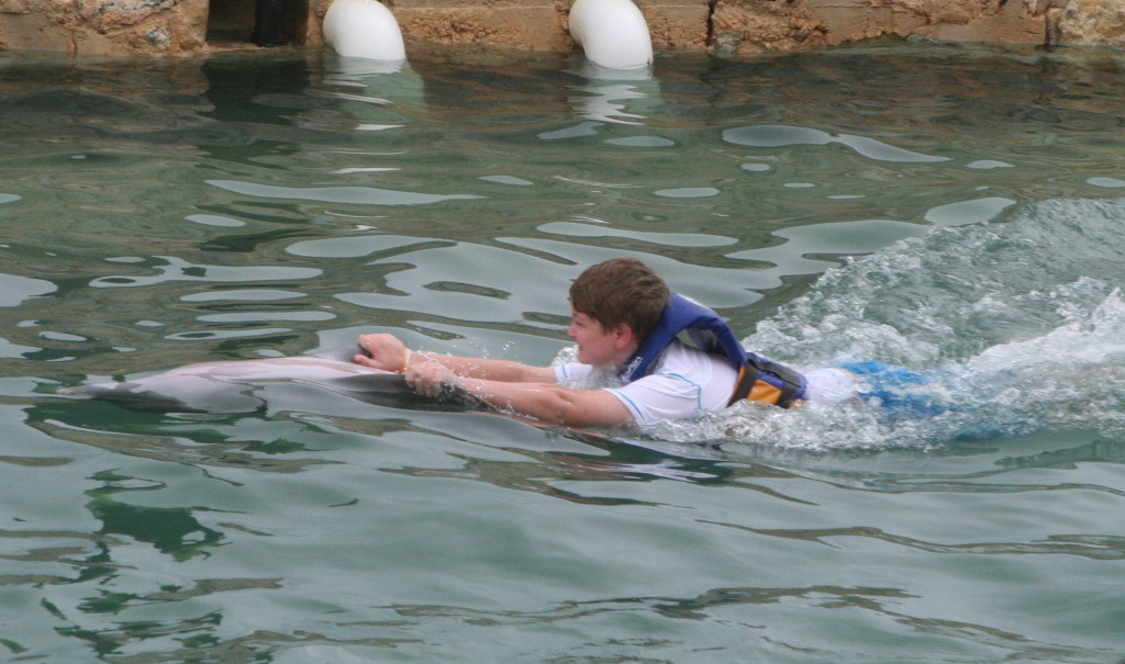2012/10(October)/2012-10-Disney-Cruise/1024x768_2012-10-03-Disney-Cruise-17-Clayborns-dolphins.JPG