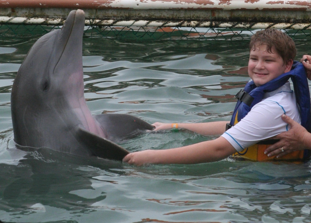 2012-10-03-Disney-Cruise-35-Clayborns-dolphins.JPG