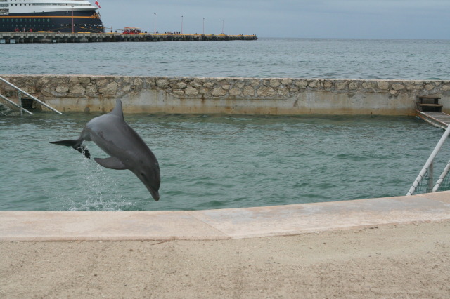 2012-10-03-Disney-Cruise-09-dolphins.JPG