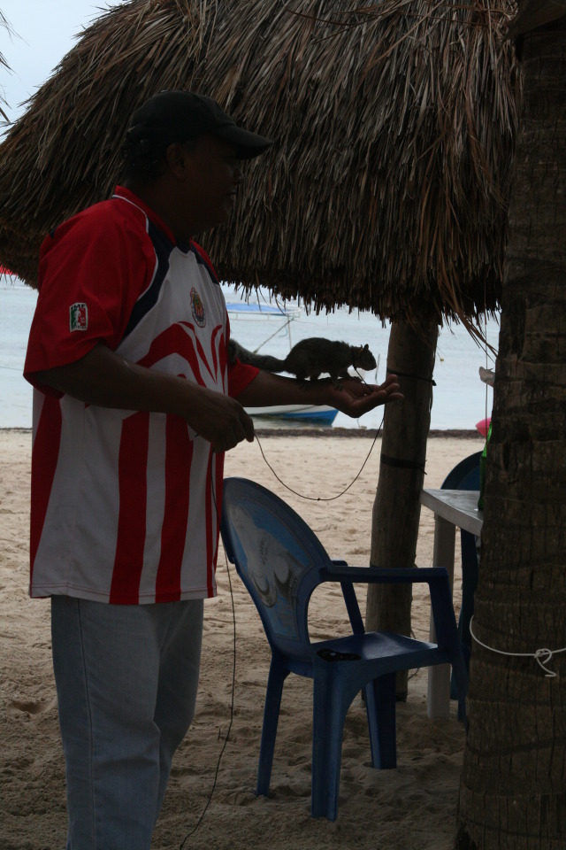 2012/10(October)/2012-10-Disney-Cruise/640x480_2012-10-03-Disney-Cruise-46-Costa-Maya-pet-squirrel.JPG