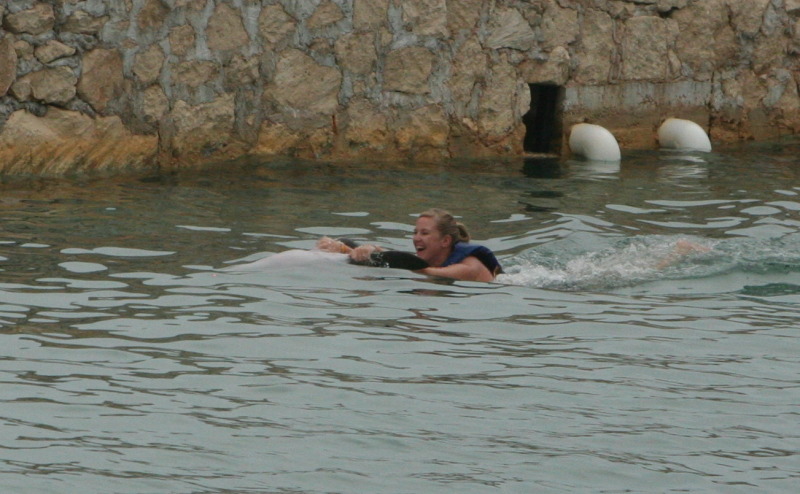 2012-10-03-Disney-Cruise-14-Clayborns-dolphins.JPG