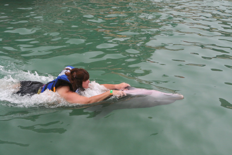 2012-10-03-Disney-Cruise-31-Clayborns-dolphins.JPG