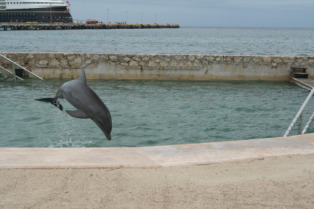 2012-10-03-Disney-Cruise-09-dolphins.JPG