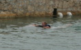 2012-10-03-Disney-Cruise-14-Clayborns-dolphins.JPG