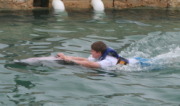 2012-10-03-Disney-Cruise-17-Clayborns-dolphins.JPG