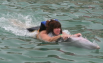 2012-10-03-Disney-Cruise-30-Clayborns-dolphins.JPG