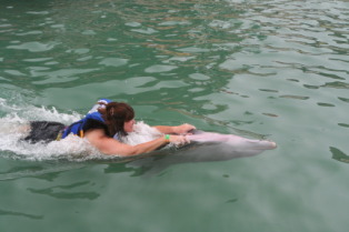 2012-10-03-Disney-Cruise-31-Clayborns-dolphins.JPG