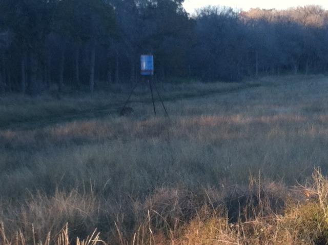 2012-11-24-Deer-Hunting-Miller-Farm-10.jpg