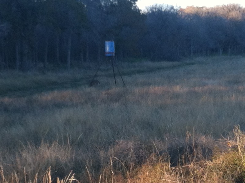 2012-11-24-Deer-Hunting-Miller-Farm-10.jpg