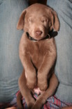 2012-12-25-Christmas-Day-04-Summit.JPG