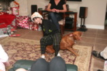 2012-12-24-Christmas-108-Dax-Bevo.JPG