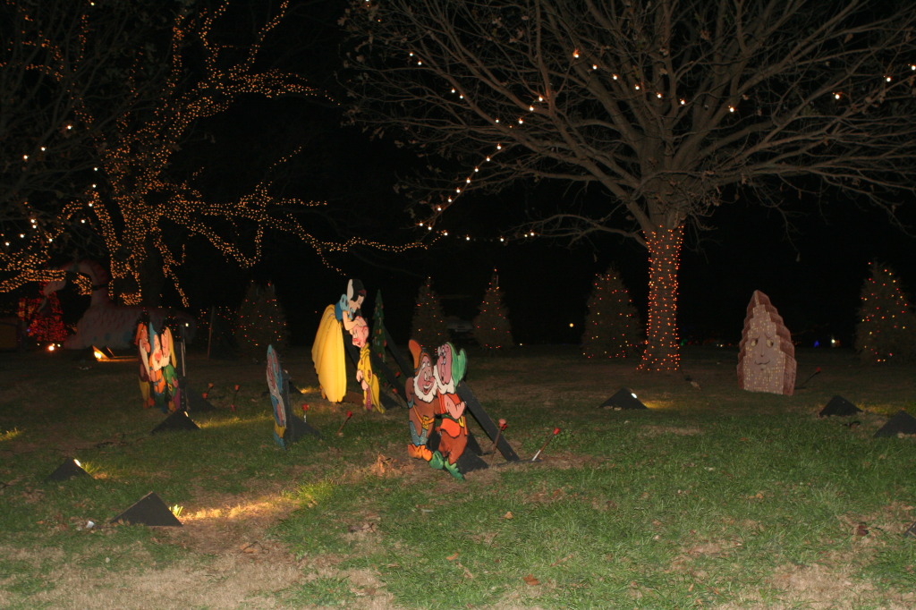 2012-12-22-Trail-of-Lights-61.JPG