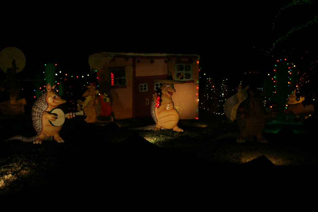 2012-12-22-Trail-of-Lights-65.JPG